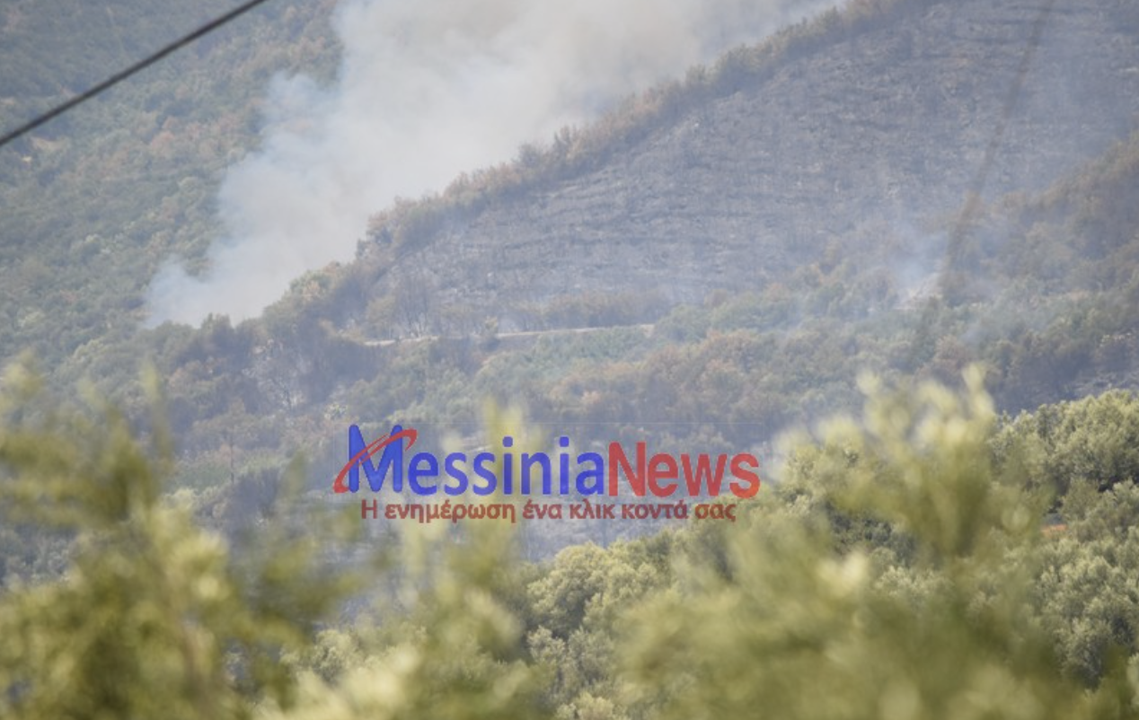 Εικόνες αποκάλυψης από τα πύρινα μέτωπα – Κάηκαν σπίτια, στάχτη δάση και καλλιέργειες-13