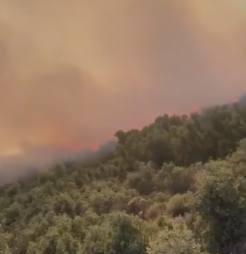 φωτιά-στη-λακωνία-σηκώθηκαν-εναέρια-563740702