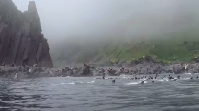 σεισμός-στην-καμτσάτκα-viral-οι-θαλάσσιοι-563743426