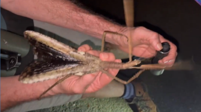 οι-επιστήμονες-μόλις-ανακάλυψαν-ένα-ν-563743465