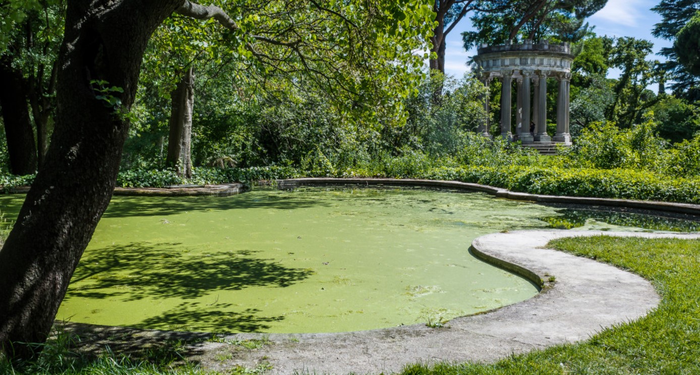 Μια ελληνική όαση ανάμεσα στους δέκα καλύτερους κρυφούς κήπους της Ευρώπης-1