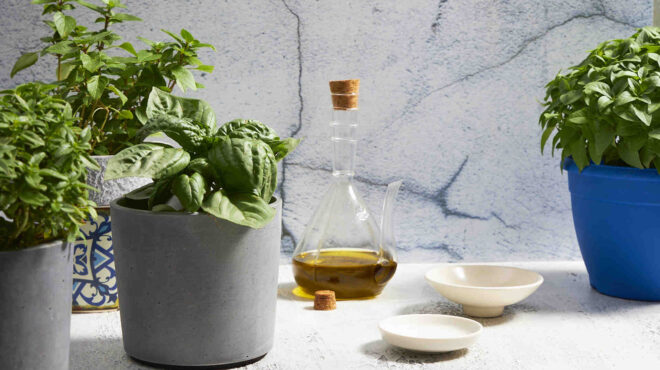 πώς-φτιάχνουμε-λάδι-και-βούτυρο-βασιλ-563707615