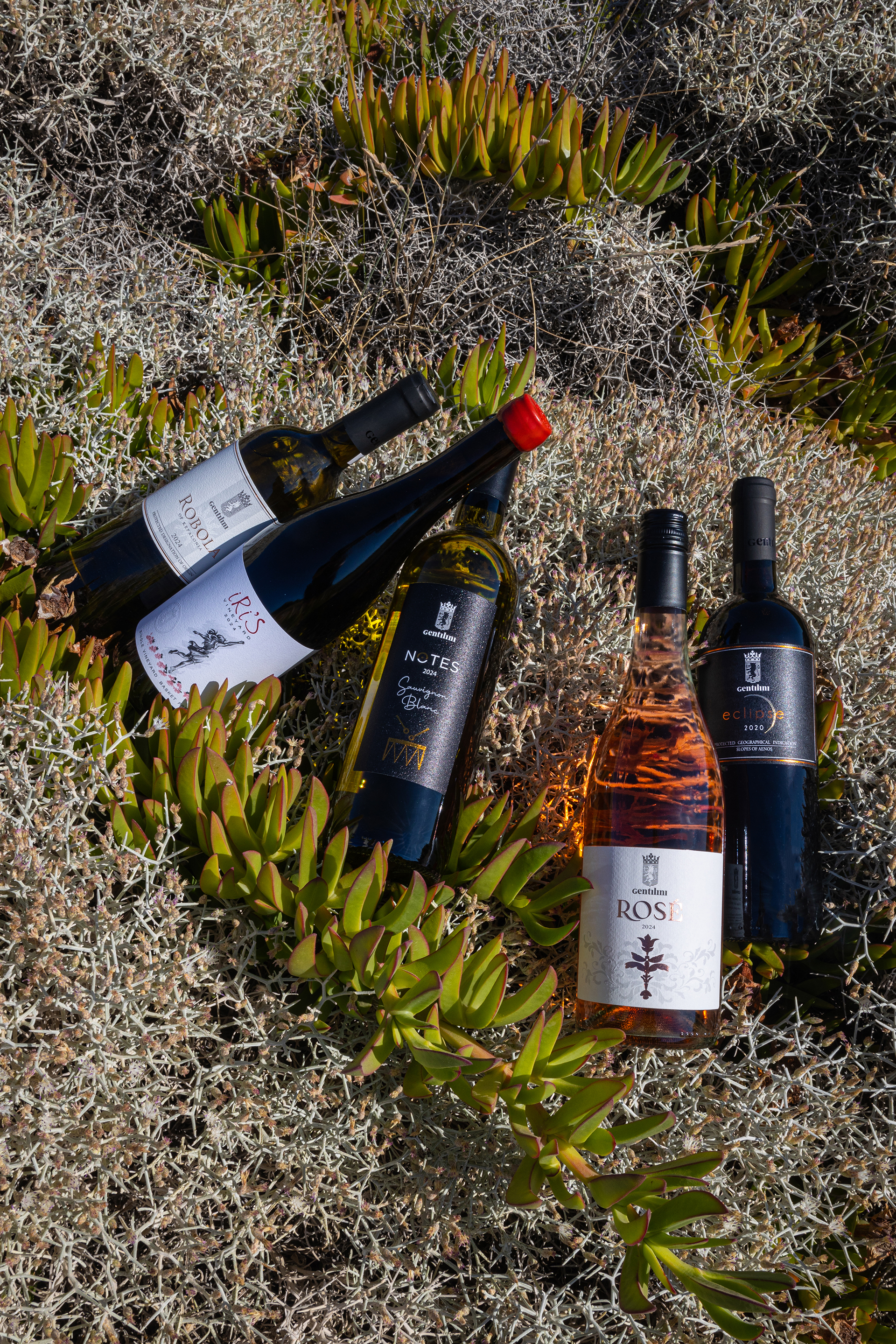 Μια ωραία μέρα στο οινοποιείο Gentilini στην Κεφαλονιά-1