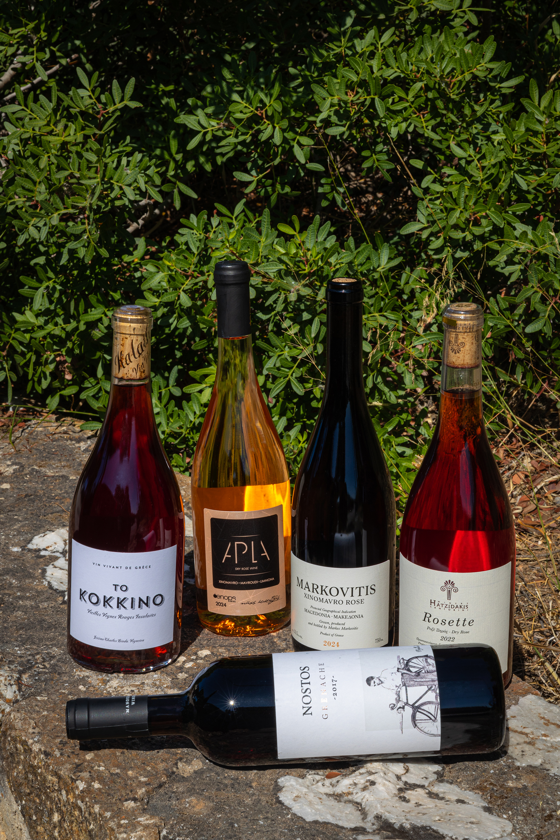 Ντομάτα, τι κρασί θες δίπλα σου;-1