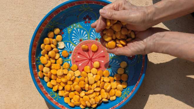 το-ξεχασμένο-όσπριο-που-λάτρευαν-οι-563708425