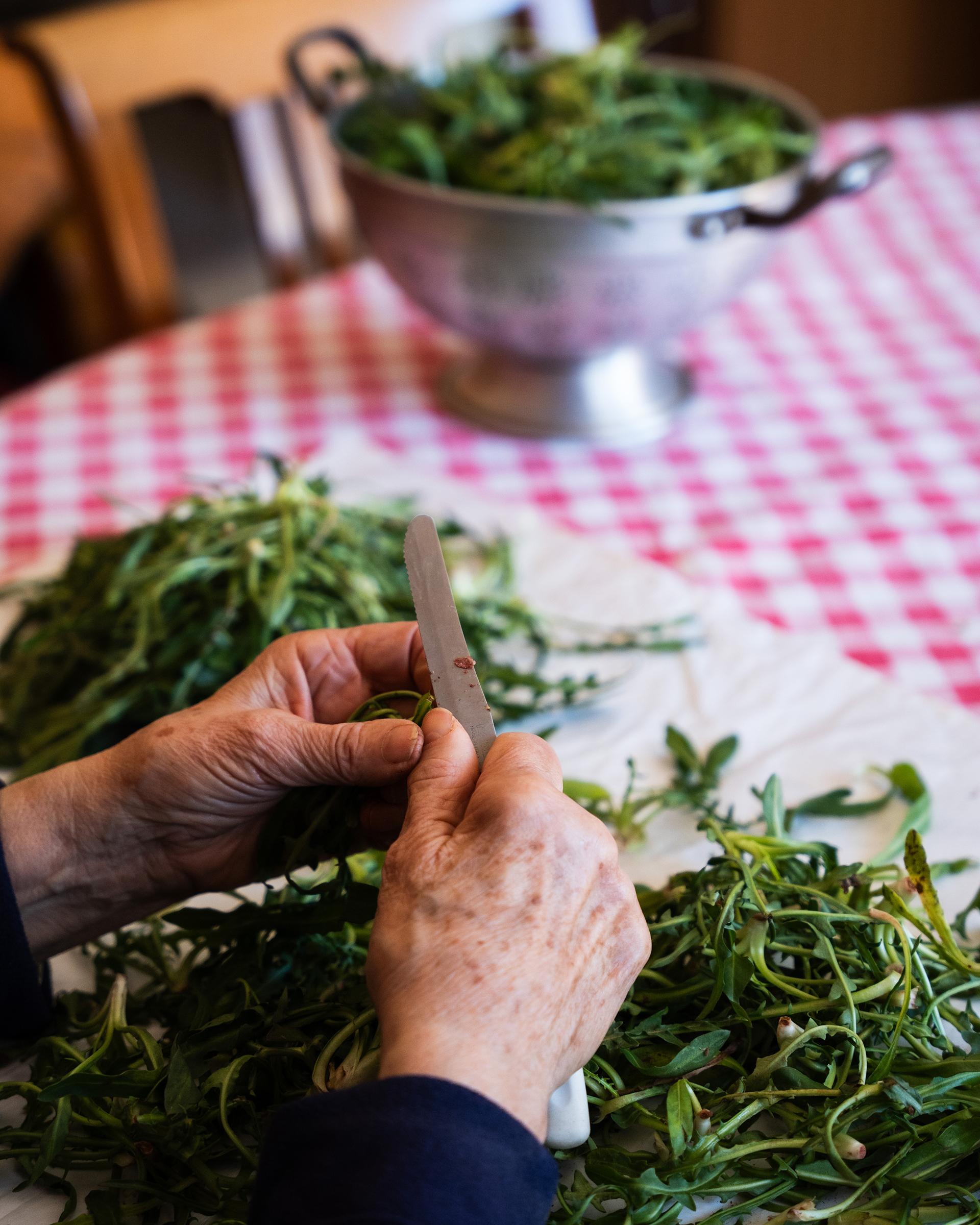 Villa Incognito στην Τρίπολη-2