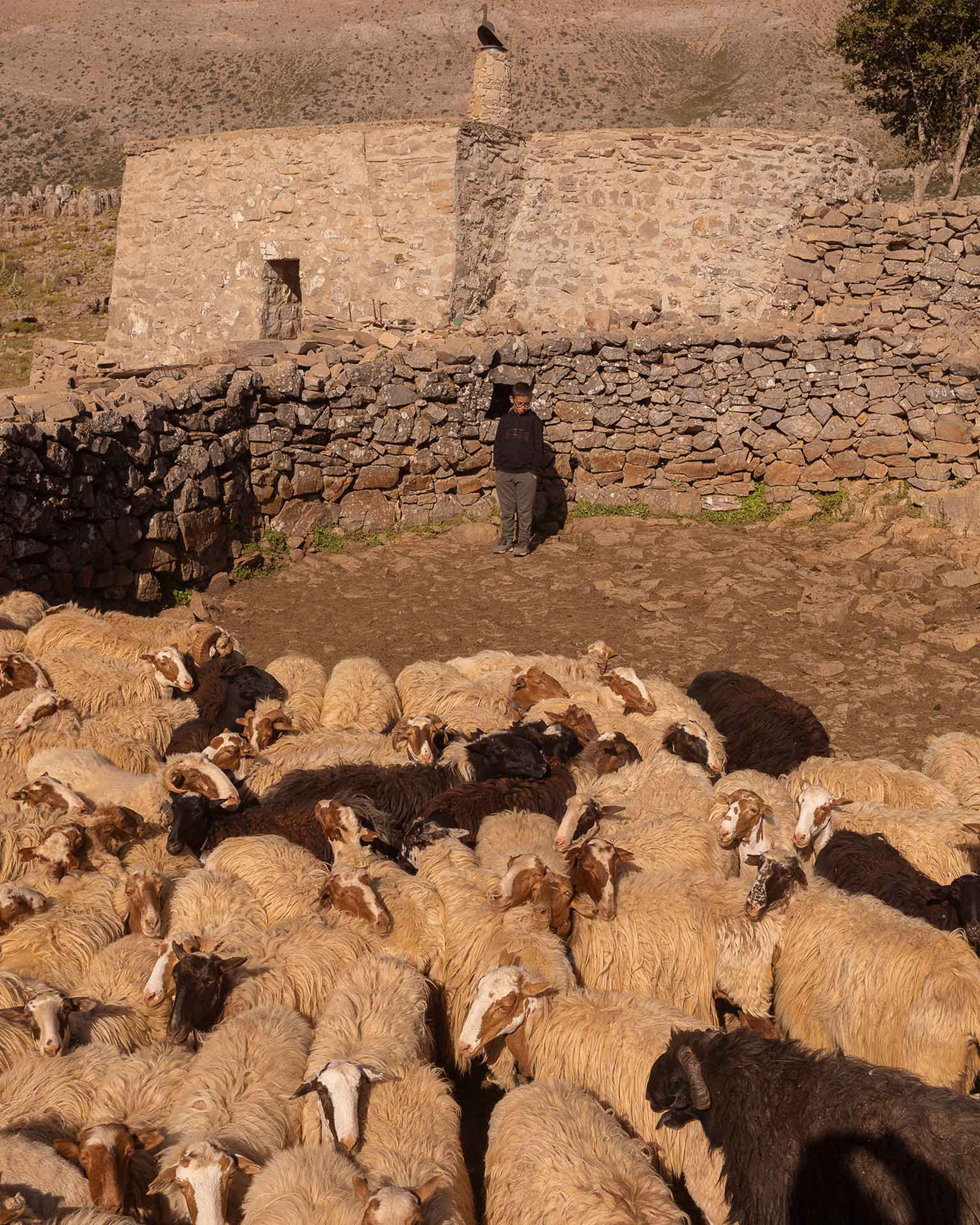 Το δικό μας Ρέθυμνο-3