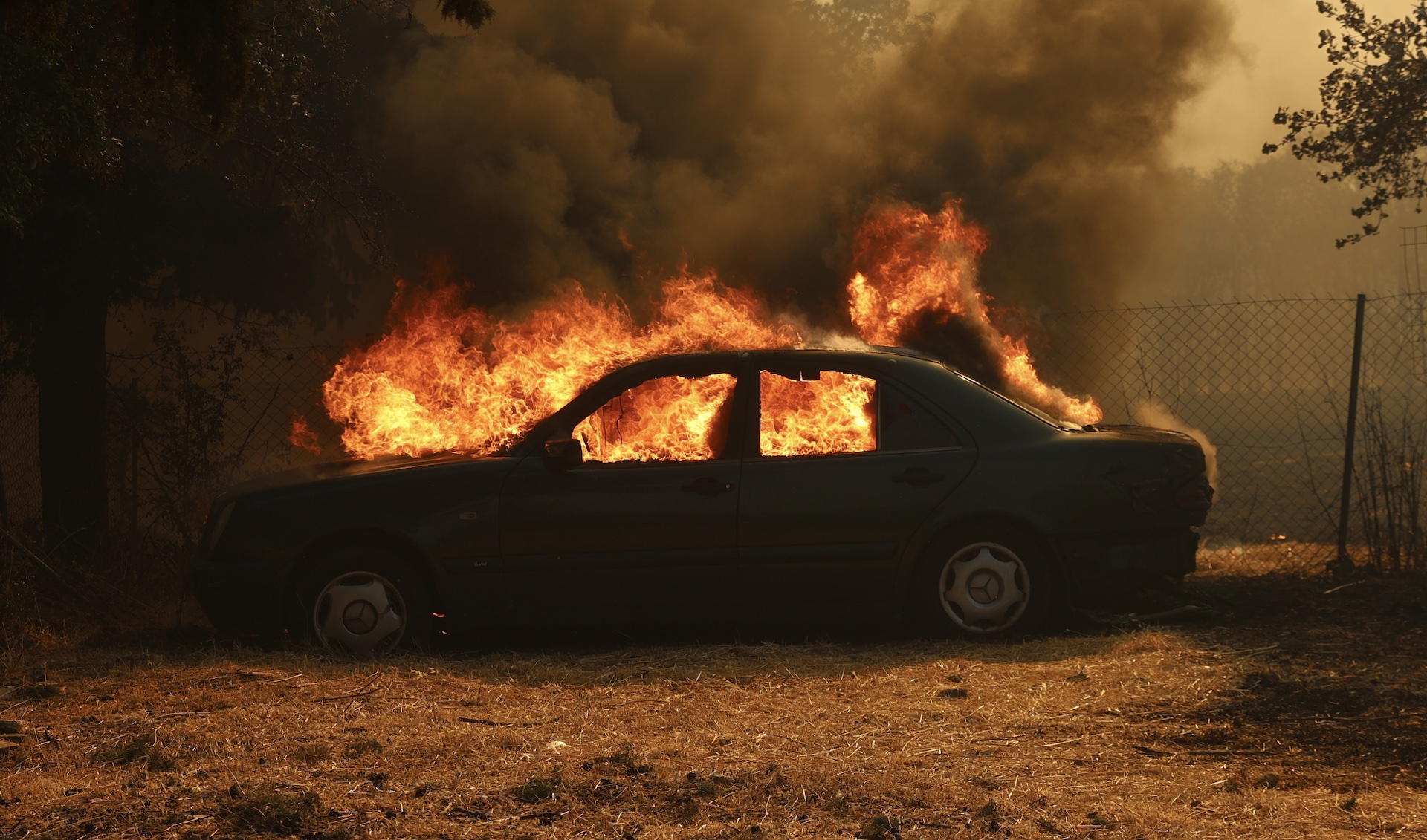 Φωτιά στο Κρυονέρι: Μάχη με τις φλόγες μέσα στην κατοικημένη περιοχή-4