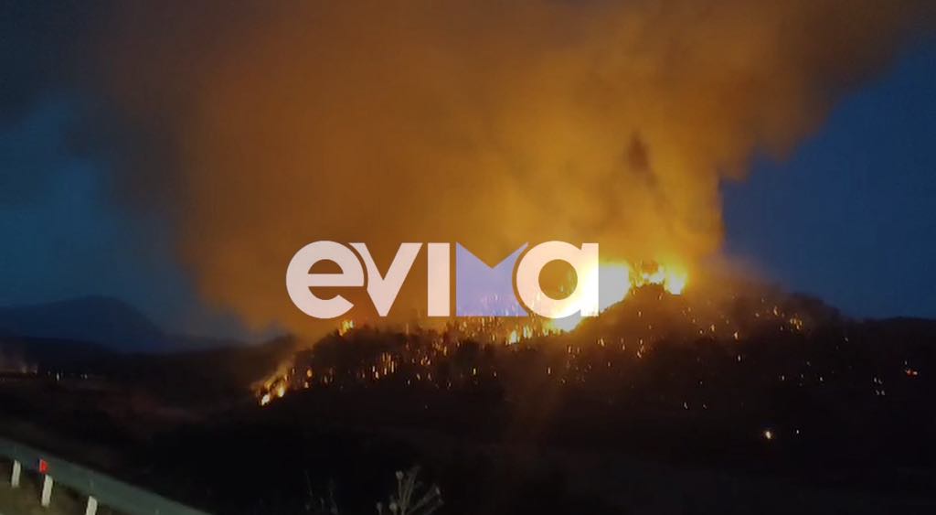 Εικόνες αποκάλυψης από τα πύρινα μέτωπα – Κάηκαν σπίτια, στάχτη δάση και καλλιέργειες-8