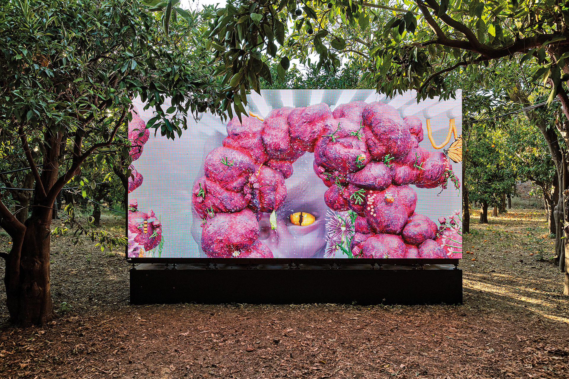 Στη Χίο, οι κήποι γίνονται τέχνη-3