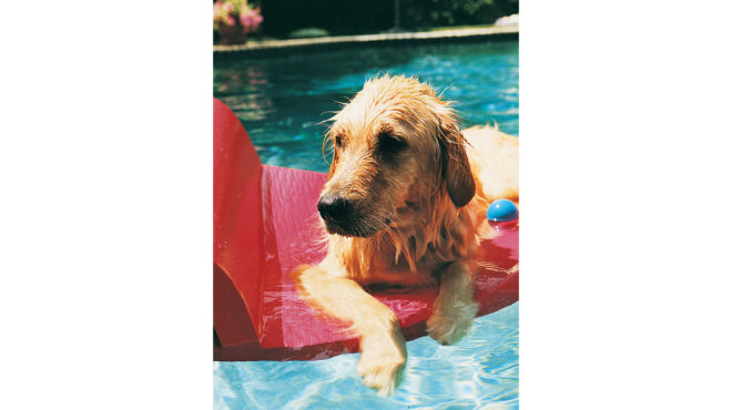 είναι-τόσο-συχνή-η-θερμοπληξία-στα-κατ-563708488