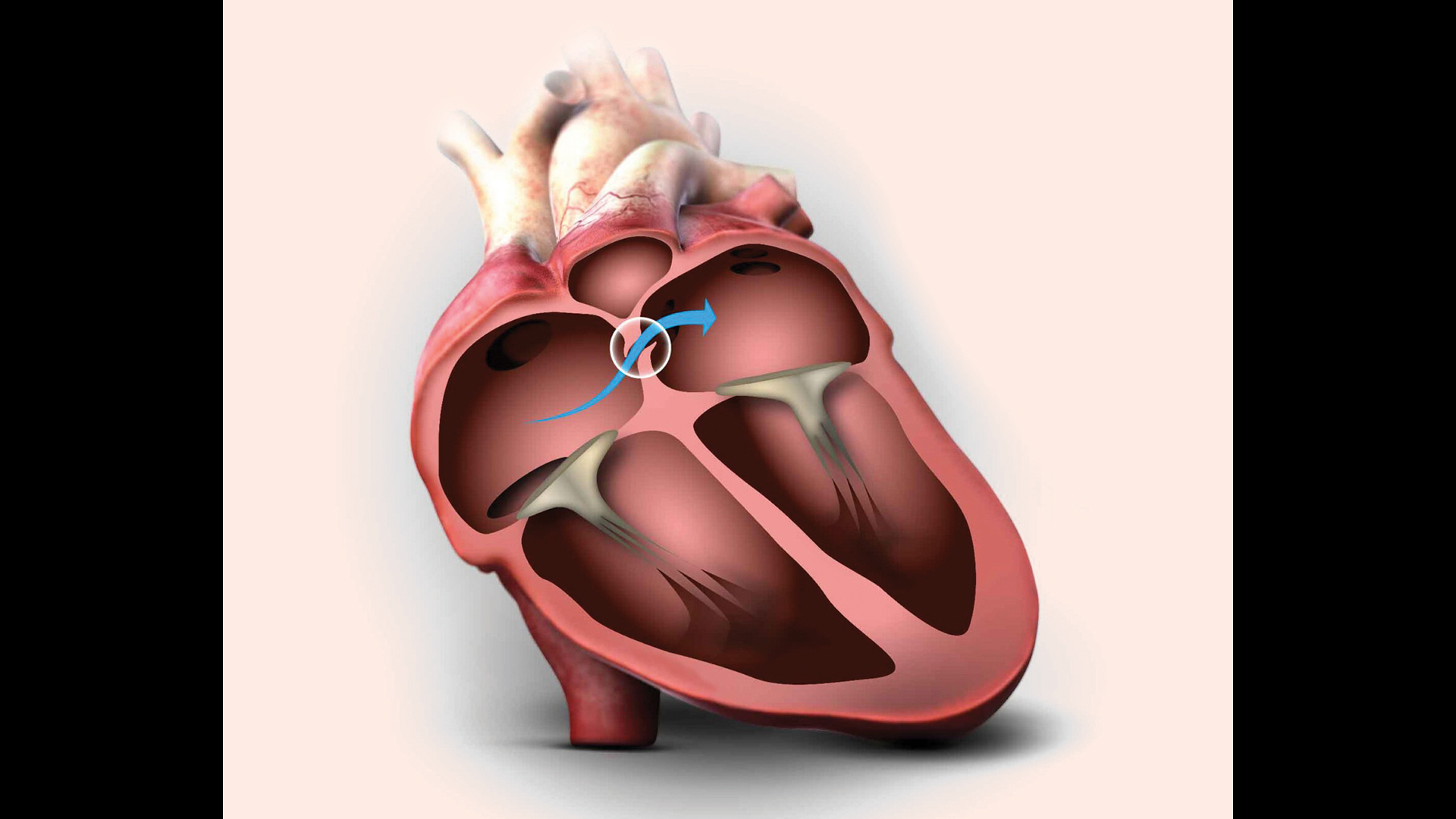 νέα-δεδομένα-σχετικά-με-τους-κινδύνου-563694451