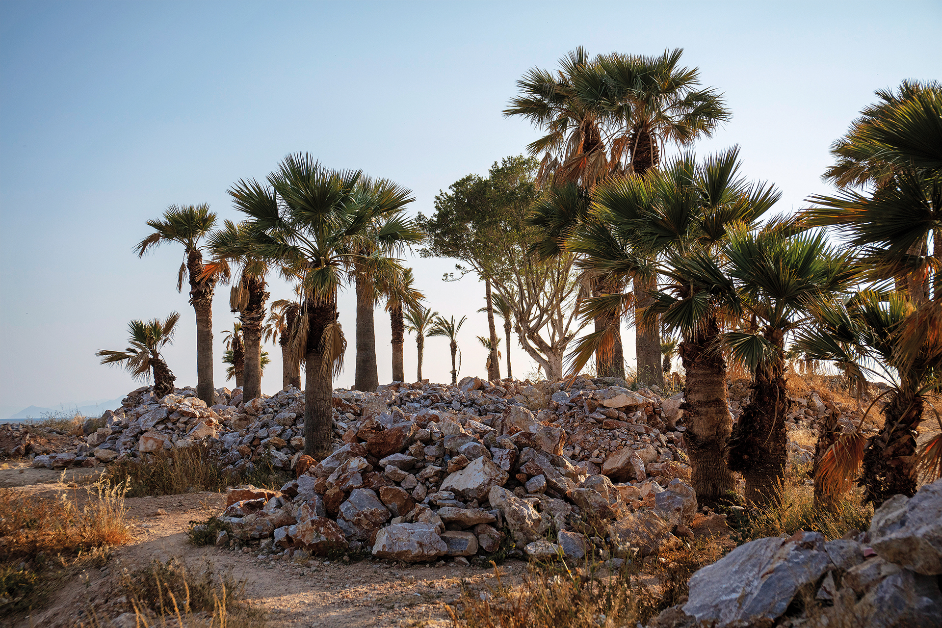 Πώς η Γλυφάδα κερδίζει τη θάλασσά της-1
