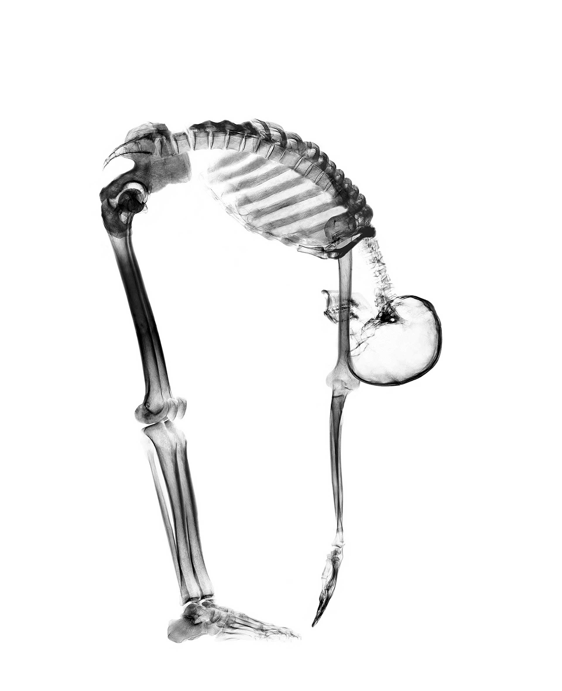 Πότε μακραίνουν πιο γρήγορα τα νύχια μας;-4