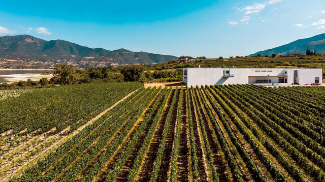 γνωρίζοντας-από-κοντά-τα-γοητευτικά-κ-563732587