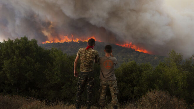 τα-δάση-μας-εκπαιδεύονται-563712955