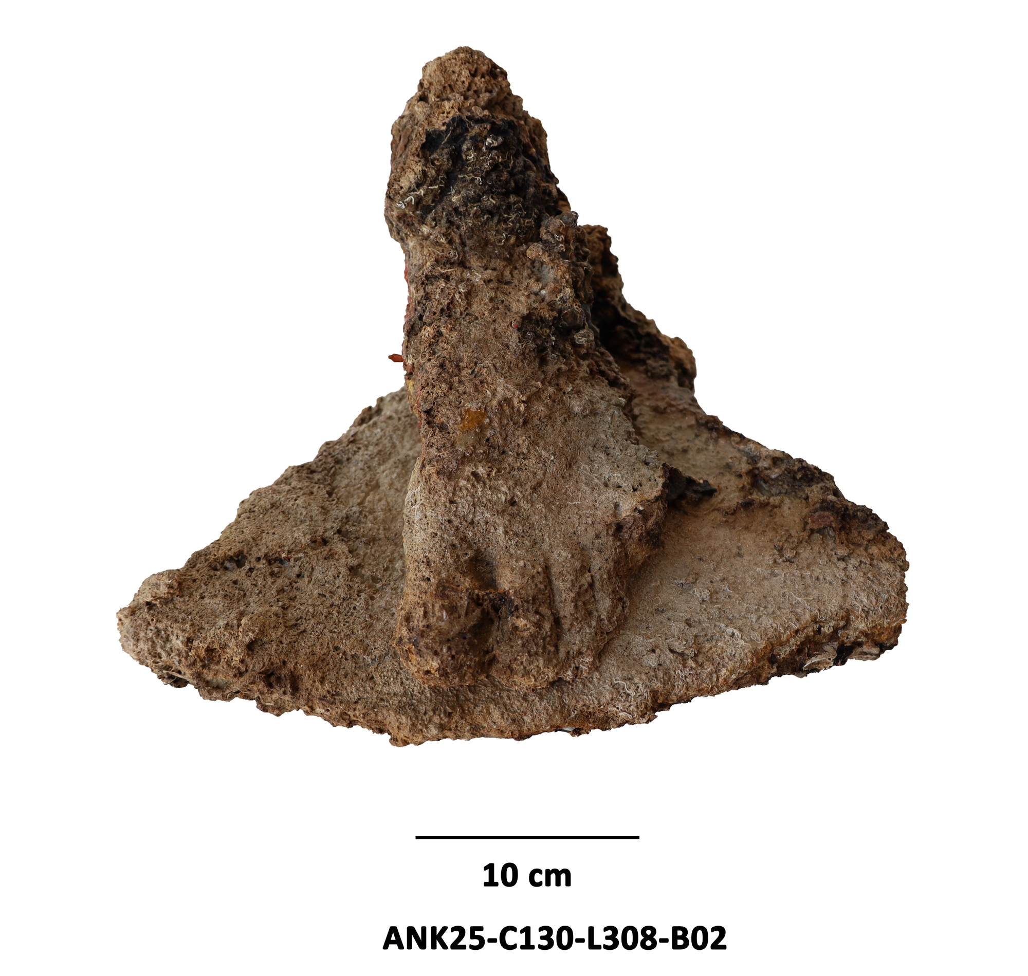 Πώς ναυπηγήθηκε το σκαρί των Αντικυθήρων-1