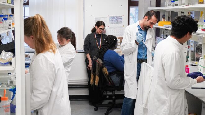 αναζητώντας-δούρειο-ιππο-για-την-ελ-563720974