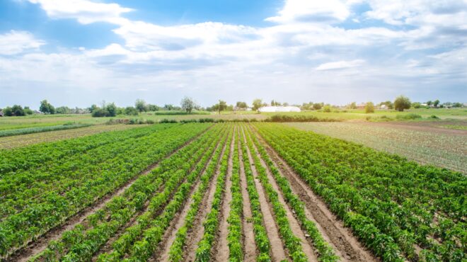 σαρωτικοί-έλεγχοι-για-τις-βιολογικές-563731351