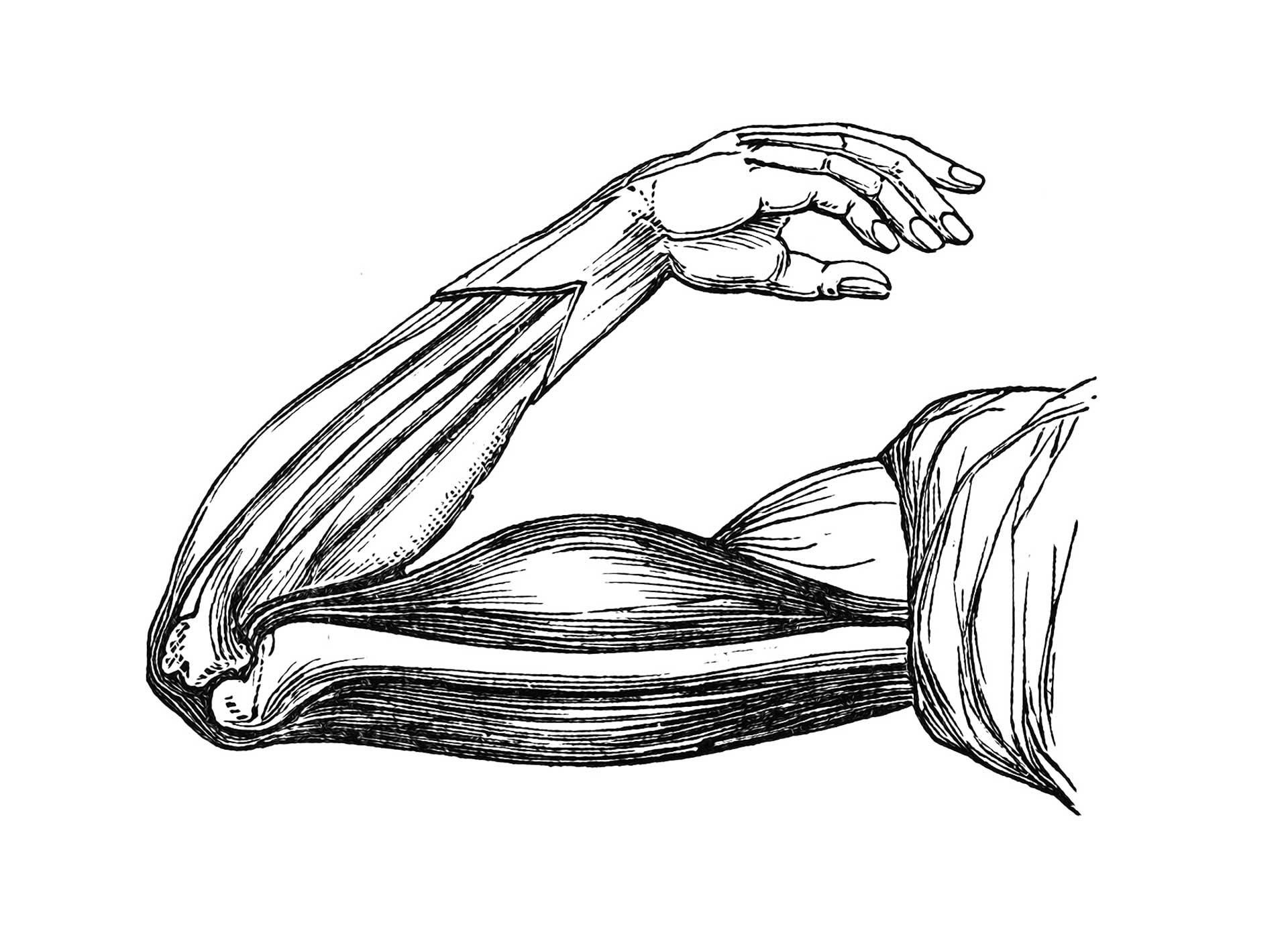 Πότε μακραίνουν πιο γρήγορα τα νύχια μας;-9