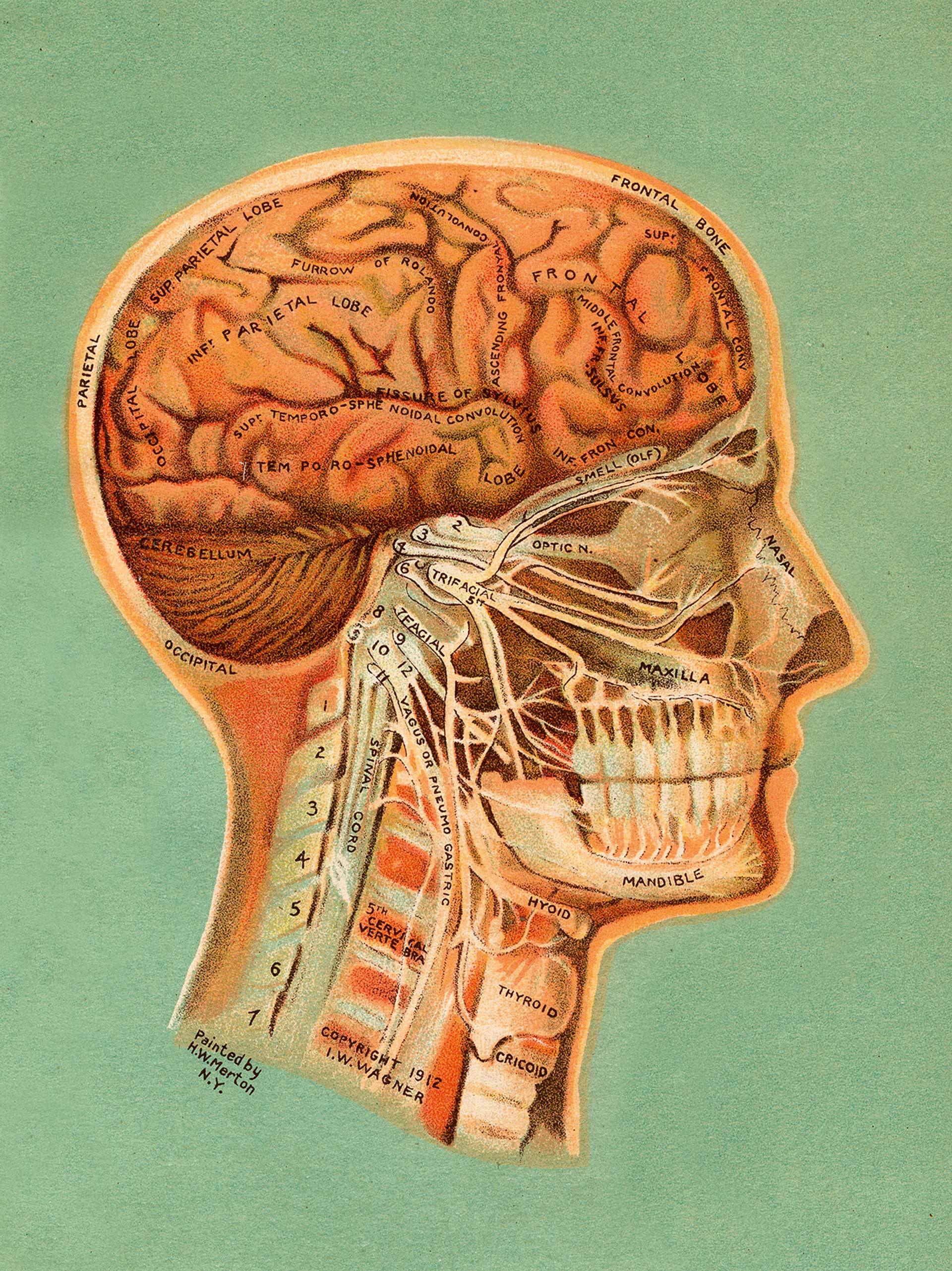 Πότε μακραίνουν πιο γρήγορα τα νύχια μας;-2