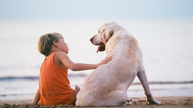τι-διαφορές-έχουν-οι-γονείς-από-τους-ιδ-563732653