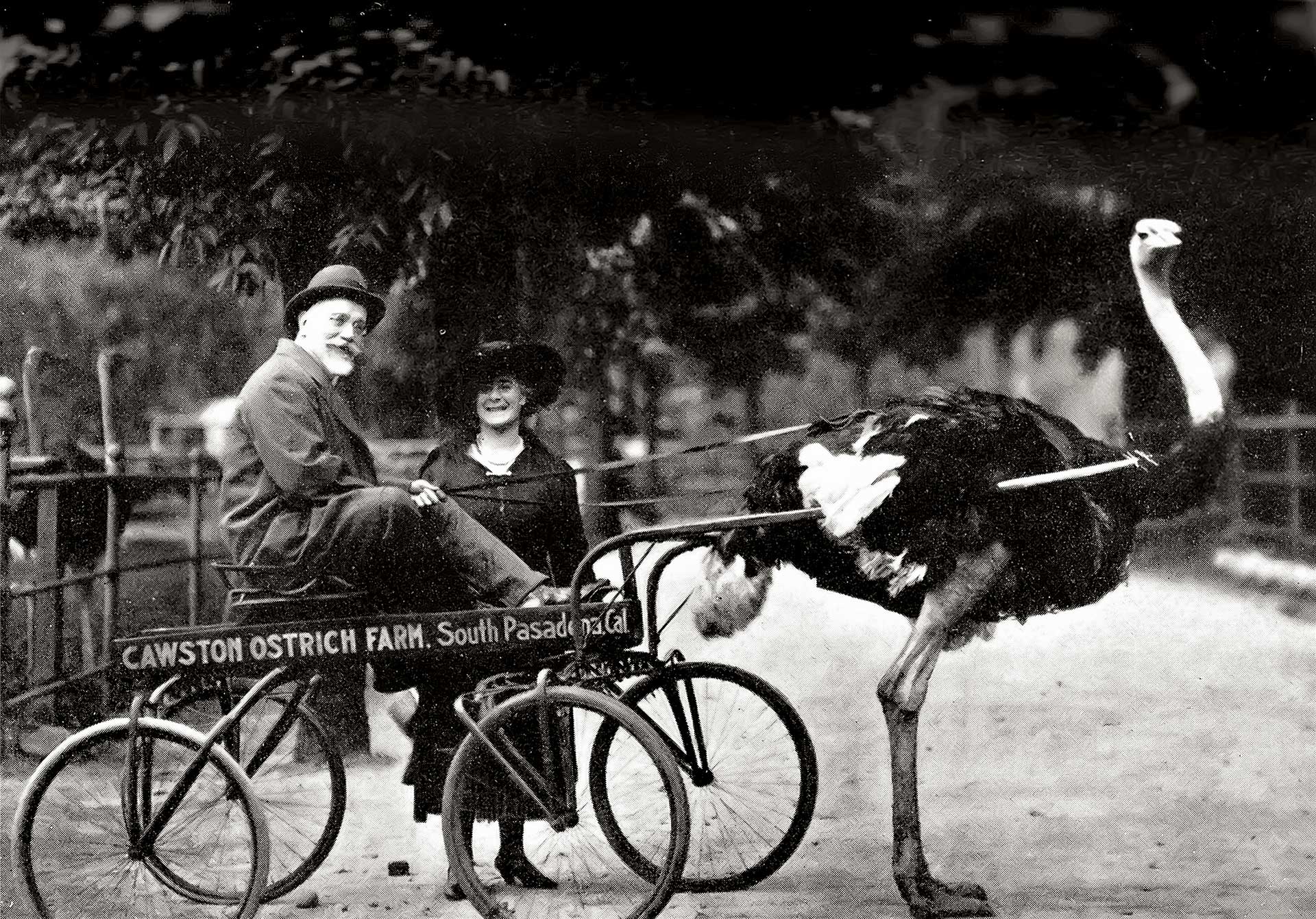 Ελενα Βενιζέλου – Δυναμική σύζυγος ενός μεγάλου ηγέτη-1