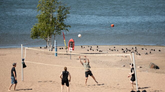 μάχη-με-τις-χήνες-στις-πλαζ-του-ελσίν-563741221