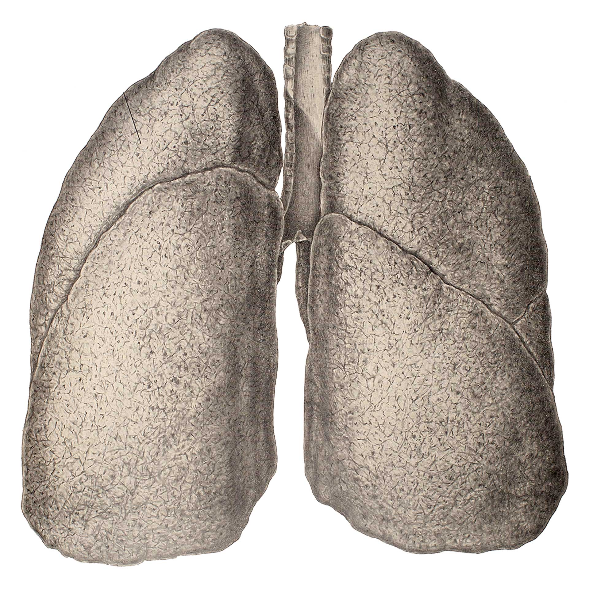 Πότε μακραίνουν πιο γρήγορα τα νύχια μας;-16