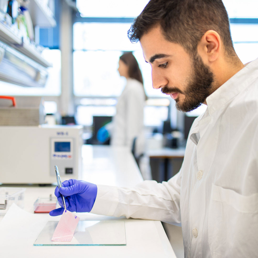 καρκίνος-στο-πάγκρεας-ελληνικό-εργαλ-563691559