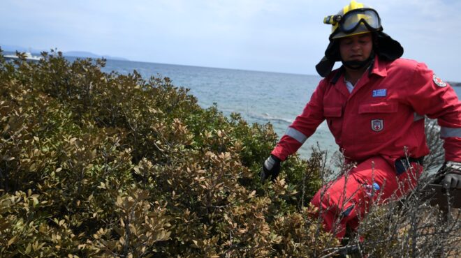 εύβοια-σώο-εντοπίστηκε-το-ζευγάρι-περ-563734882