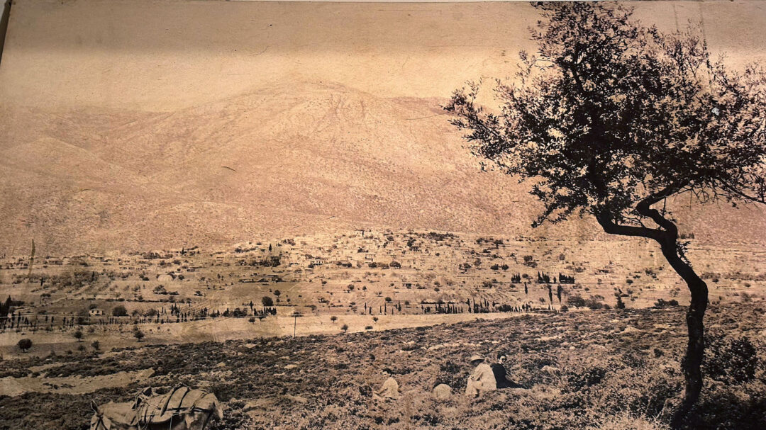 φεστιβάλ-επιδαύρου-καταλύτης-ανάπτυ-563700295