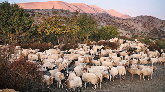 πολιτικός-καύσωνας-στη-βουλή-το-χρ-563715391