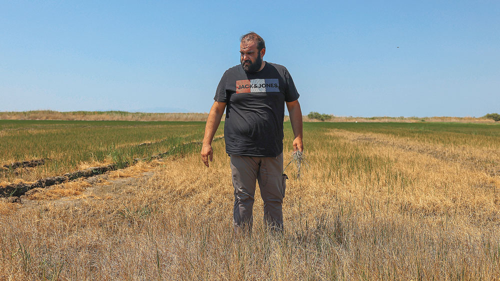 «Εδώ άσπρισε και η κοίτη…»-5