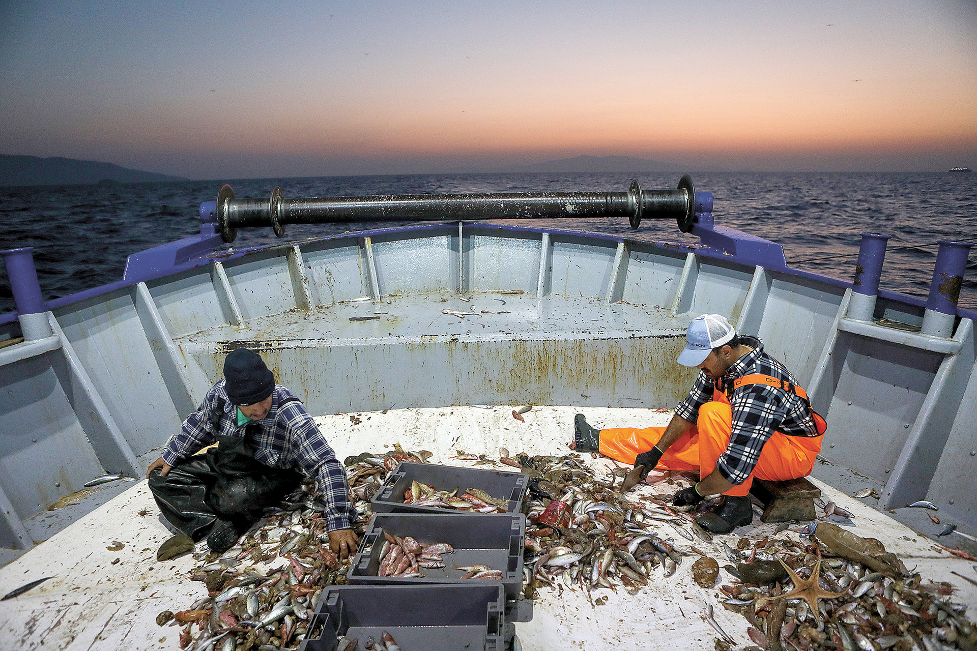 Σωτήρια τα θαλάσσια πάρκα για τον ελληνικό βυθό, που αποδεκατίζεται από την αδιαφορία για το αύριο-1