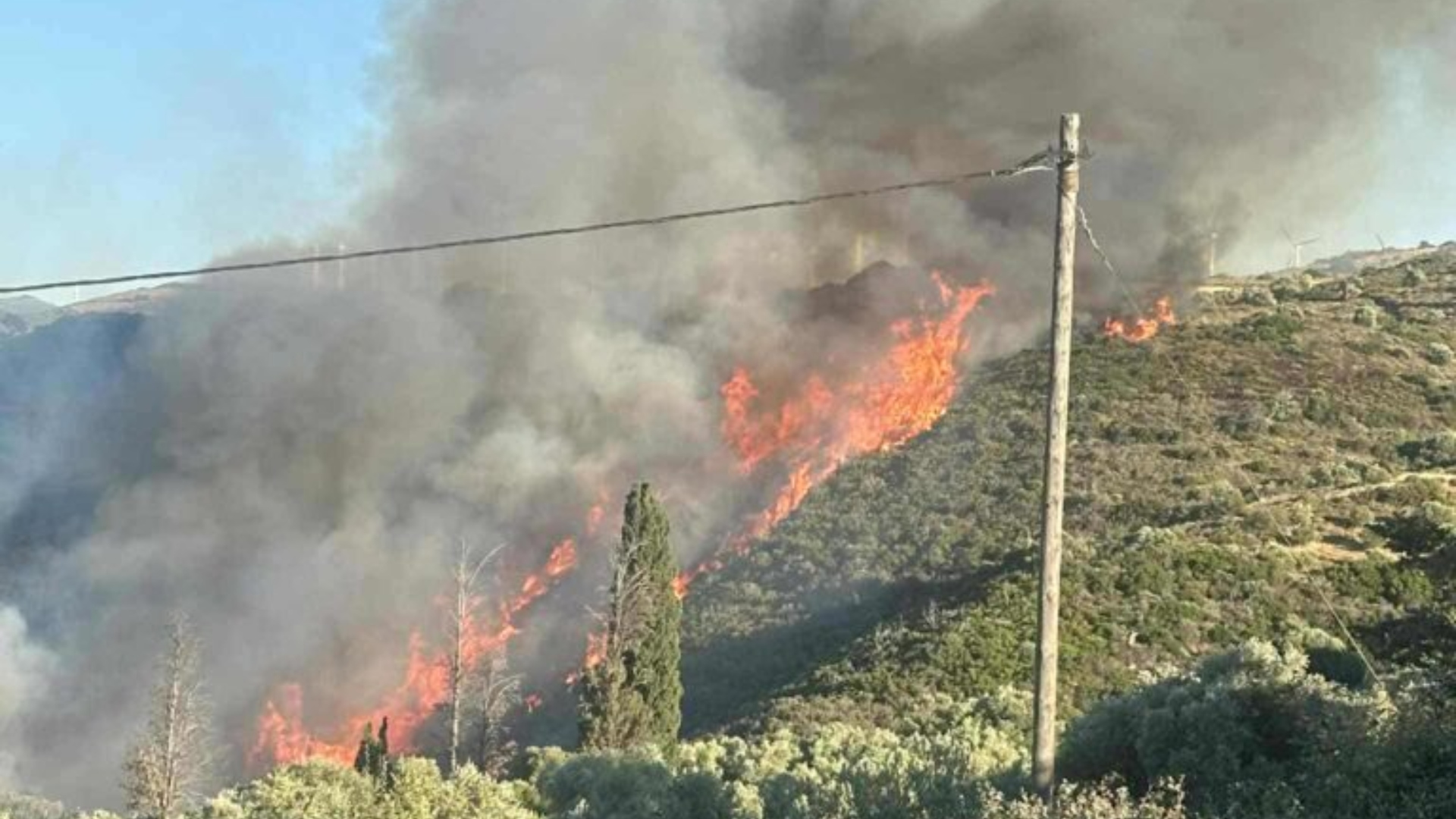 Εύβοια: Νύχτα αγωνίας στα Μεσοχώρια – Μάχη με τις φλόγες κοντά στην κατοικημένη περιοχή-1