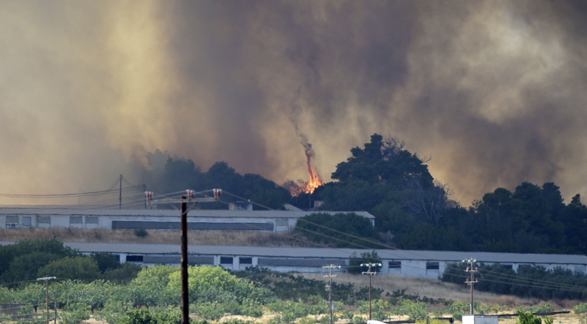 Εικόνες αποκάλυψης από τα πύρινα μέτωπα – Κάηκαν σπίτια, στάχτη δάση και καλλιέργειες-9