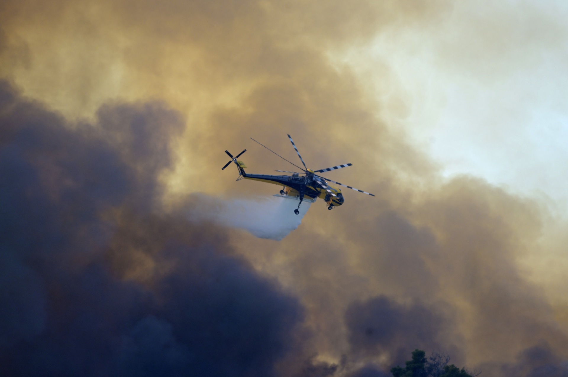 Εικόνες αποκάλυψης από τα πύρινα μέτωπα – Κάηκαν σπίτια, στάχτη δάση και καλλιέργειες-10