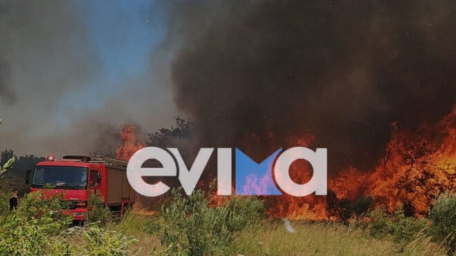 αλιβέρι-συνελήφθη-59χρονος-για-τη-φωτιά-563713474