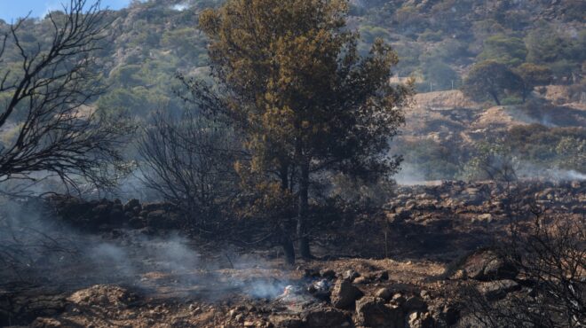 φωτιά-στην-αργολίδα-στη-μάχη-τέσσ-563701327