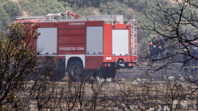θεσσαλονίκη-φωτιά-στην-παραλία-επανο-563726095