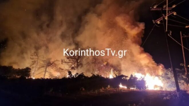 φωτιά-στο-ελληνοχώρι-κορινθίας-καίγ-563731435