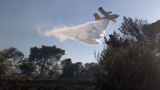 φωτιά-στην-αρχαία-ολυμπία-σηκώθηκαν-563734267