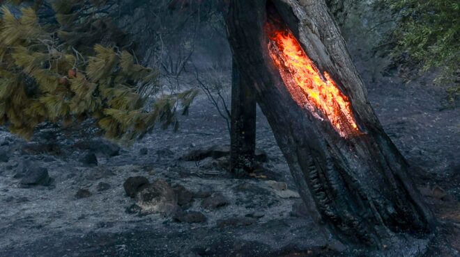 φωτιά-στη-δράμα-καίγεται-δάσος-στο-κα-563716264