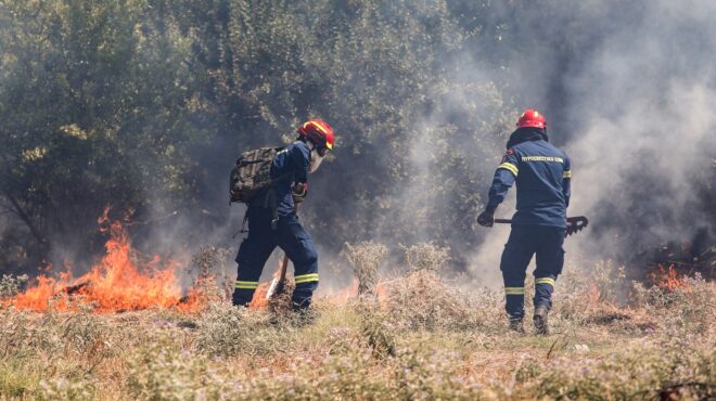 θεσσαλονίκη-πρόστιμο-3-600-ευρώ-σε-συλληφ-563739961