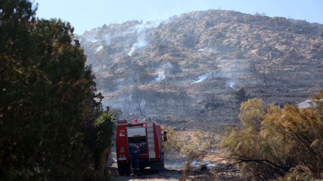 εύβοια-πρόστιμο-άνω-των-8-000-ευρώ-στον-52χρ-563700910