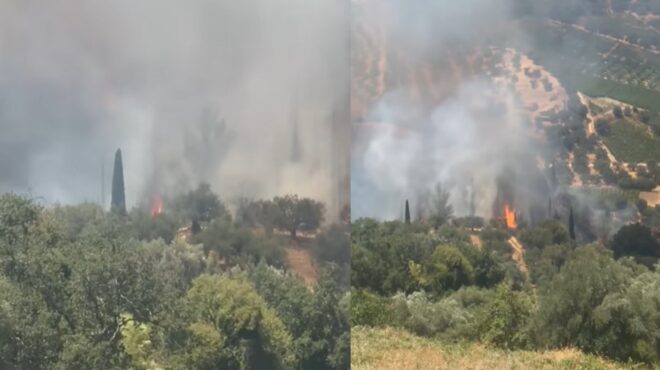 φωτιά-στις-νεραντζιές-αχαΐας-στη-μά-563710015