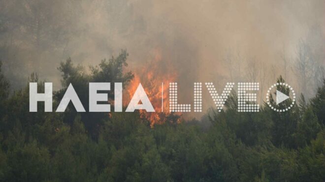 φωτιά-στην-ηλεία-ενισχύονται-οι-πυροσ-563725345