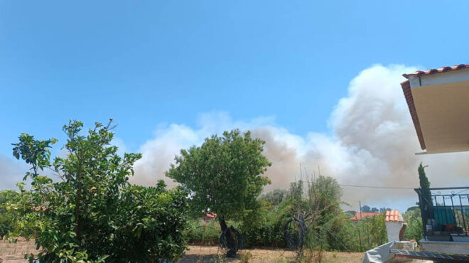 φωτιά-τώρα-στον-μαραθώνα-μήνυμα-από-563693941