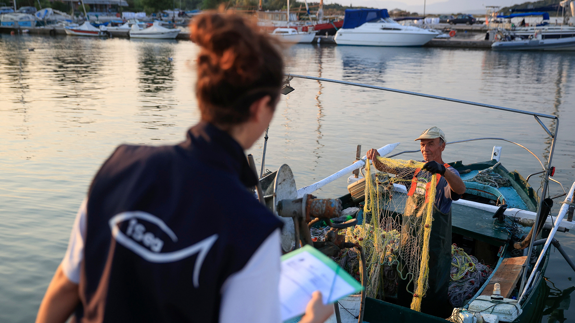 Καρχαρίες και σαλάχια: Από τη μαύρη αγορά στο πιάτο μας-5